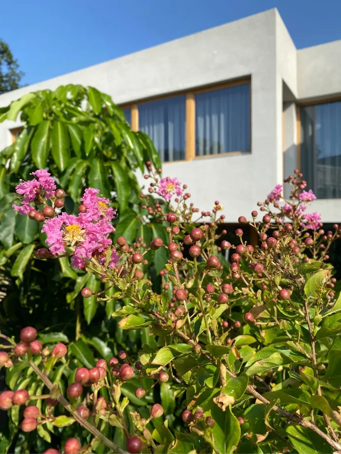 Casa Cabrils 15 Ral64 arquitectura. Casa Cabrils