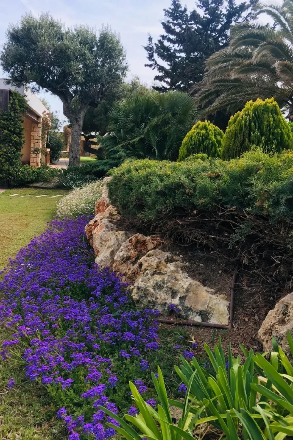 Casa Besins 15 Ral64 arquitectura. Casa Besins