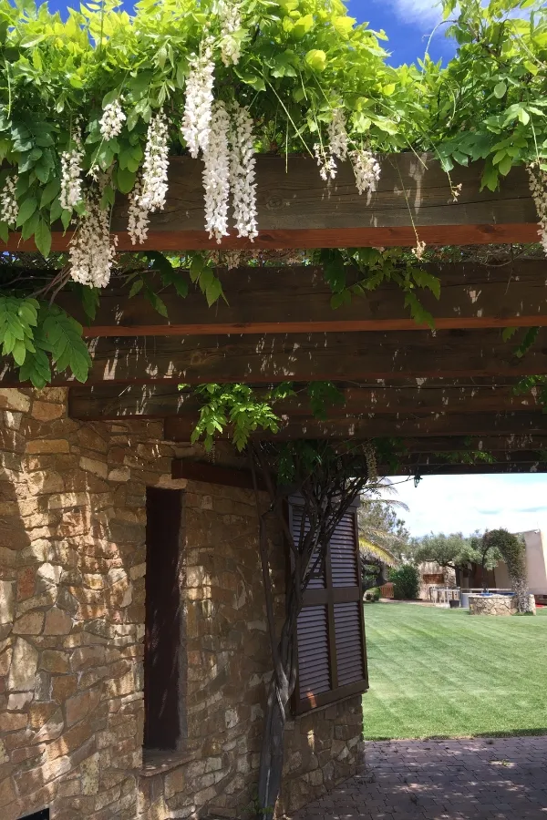 Casa Besins 18 Ral64 arquitectura. Casa Besins