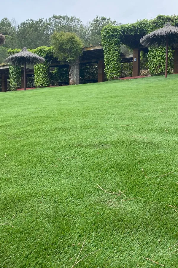 Piscina Tiana 10 Ral64 arquitectura. Piscina Tiana