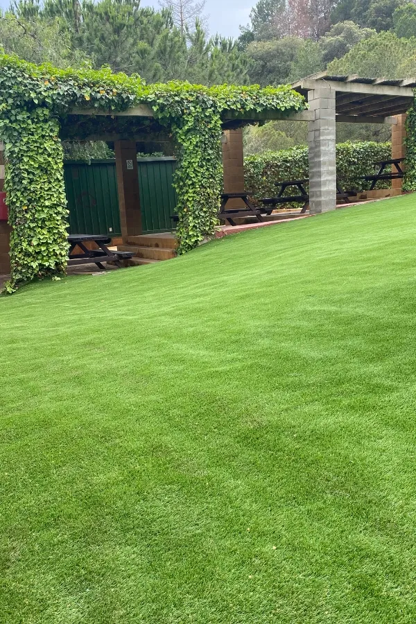 Piscina Tiana 7 Ral64 arquitectura. Piscina Tiana