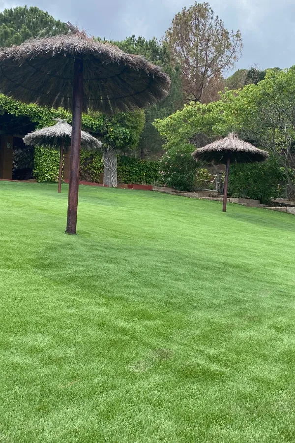 Piscina Tiana 9 Ral64 arquitectura. Piscina Tiana