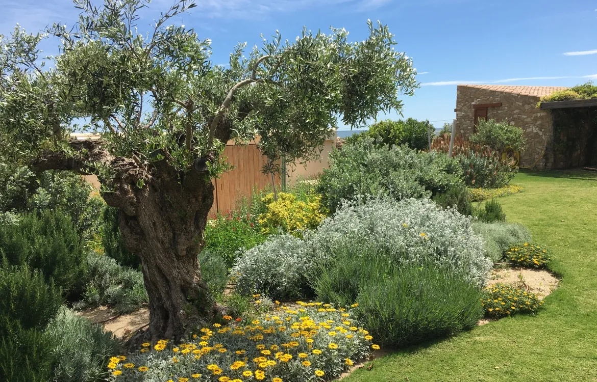 Ral64 arquitectura. Casa Tianca