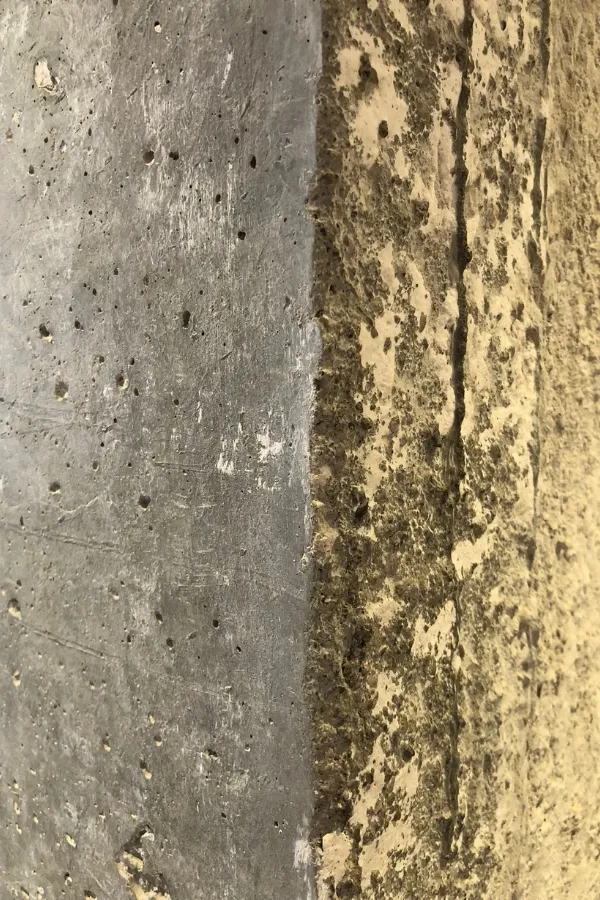 Despatx Ral 64 Aqruitectura, ral64 arquitectura i urbanisme