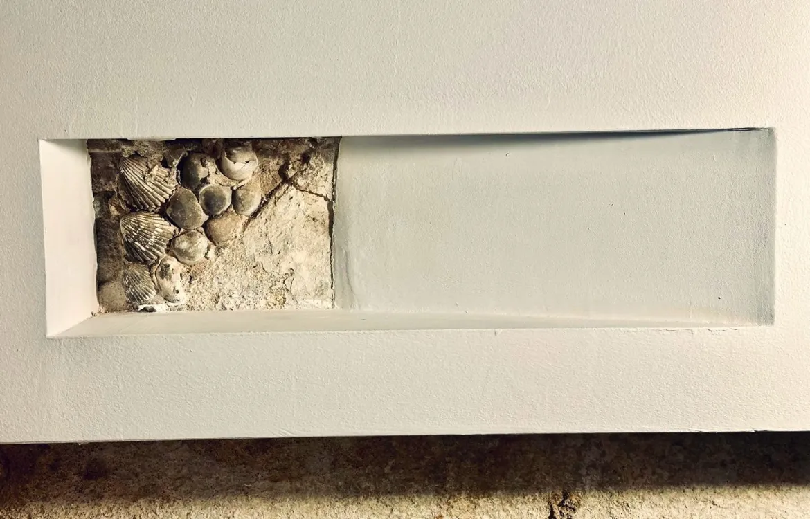 Despatx Ral 64 Aqruitectura, ral64 arquitectura i urbanisme